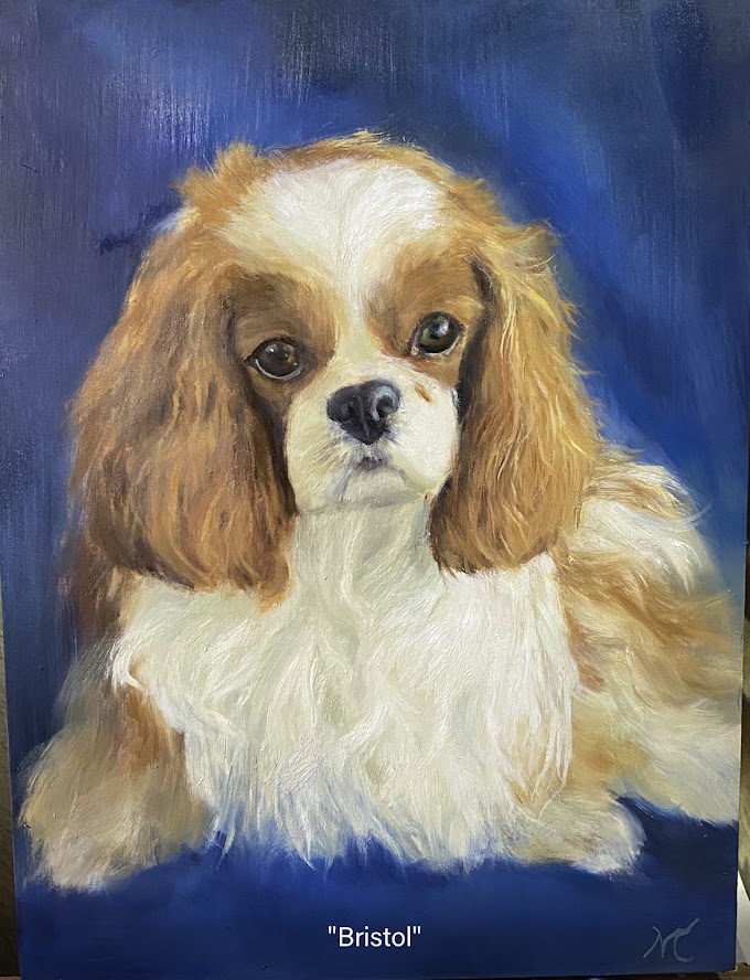 Bristol custom dog portrait